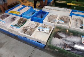 Day 2   fish market tour 3[1]