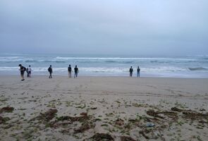 Day 2   kesannuma beach[1]