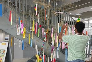 Day 3 adding a wish to the tanabata Day 3 adding a wish to the tanabata