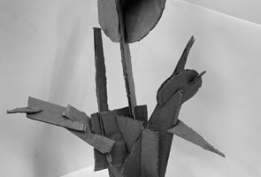 AOW 13