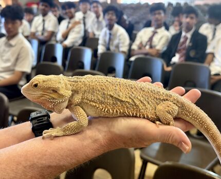 Reptile Event 1