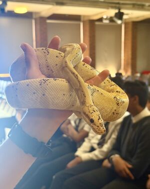 Reptile Event 3