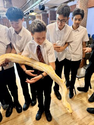 Reptile Event 6