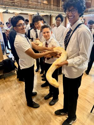 Reptile Event 7