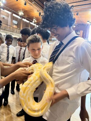 Reptile Event 8