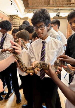 Reptile Event 10